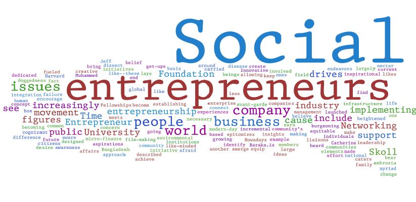 social entrepreneurship