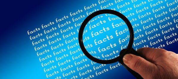 AI Fact Checker