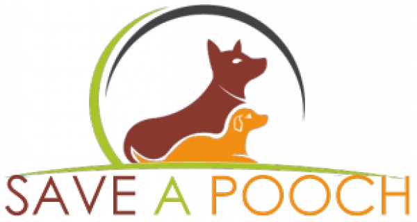 What Is Save A Pooch?