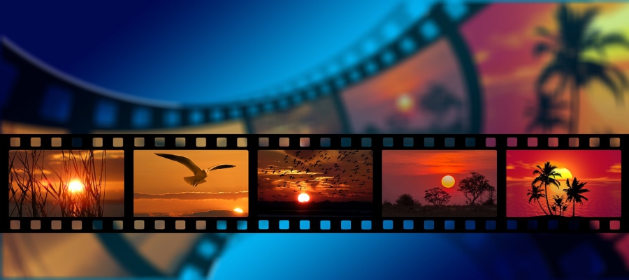 Nikon Accepting Applications For Small World In Motion #contest Win $3000 Deadline: April 30, 2018 @matrixthinker #photographer #videographer #photography #photomicrography