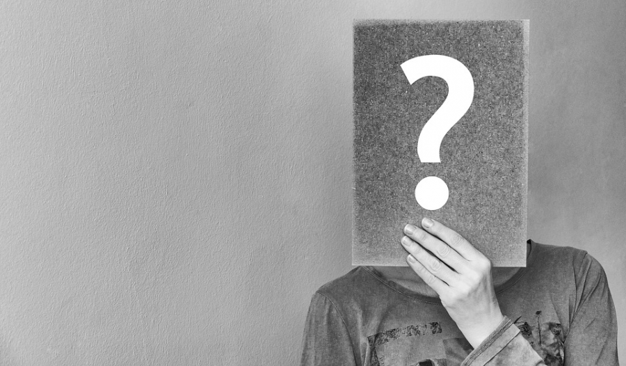 Win $1000 And Get Paid For Your Views #contests #maru @matrixthinker