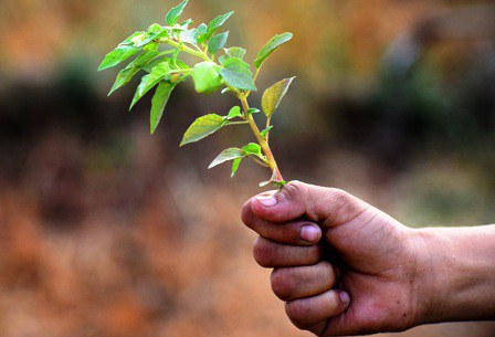 The Harvest We Did Not Sow