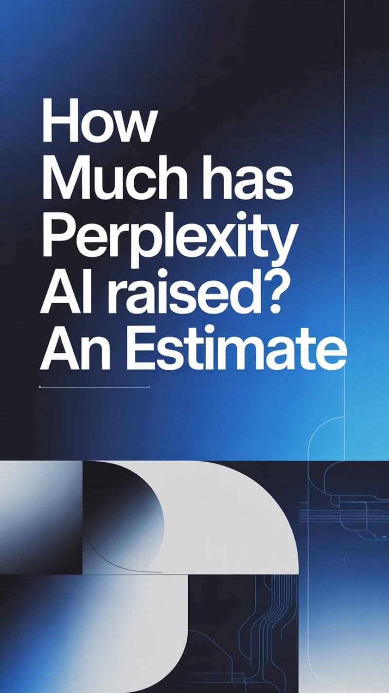 How Much Has Perplexity AI Raised? An Estimate