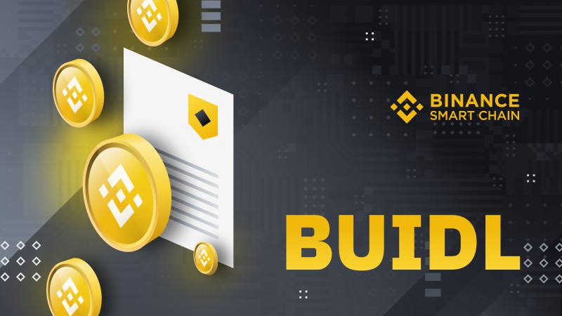 Binance Will Pay Back To Developers Up To $5 Million Worth Of Bnb In Proportion To Gas Fees Used For Their Contracts