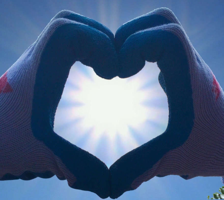 Maple Leaf Foods and the Maple Leaf Centre for Action on Food Security Launch $2 million Campaign to Support Pandemic Emergency Food Relief