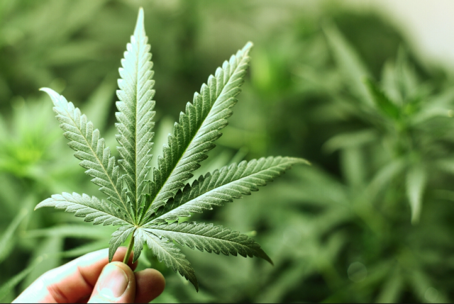 Med X First Company In Cannabis (Marijuana) Industry To Be Qualified By The Sec To Sell Securities (Shares