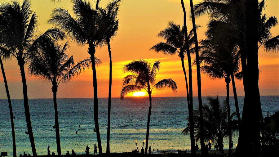 You Could Win A Priceless Maui Experience From @mastercardca #marketmoments @matrixthinker @loblawson #contest #foodie #travel #resorts #caribbean