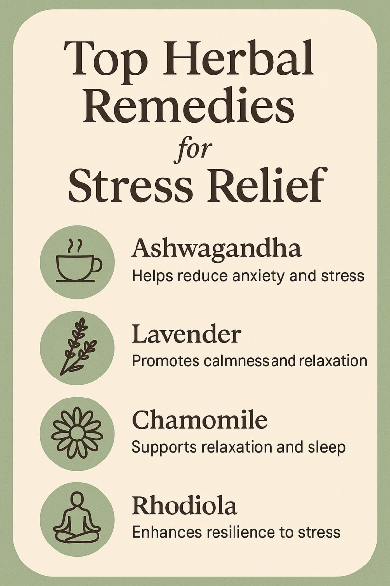 Top Herbal Remedies For Stress Relief: Natural Ways To Calm Your Mind