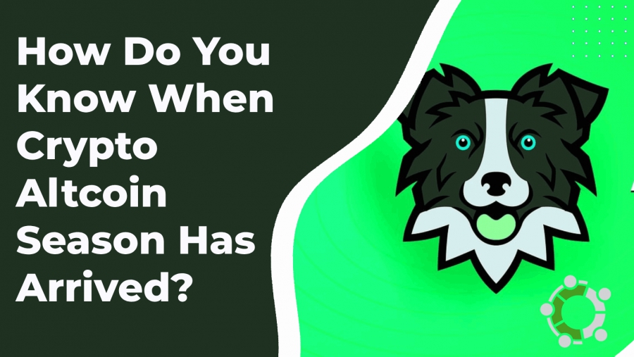 Unveiling The Telltale Signs And Key Indicators Of An Impending Cryptocurrency Altcoin Season: Tips For Crypto Investors