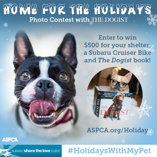 Submit A Selfie Of Your Pooch And Win Great Prizes From @ASPCA and @thedogist