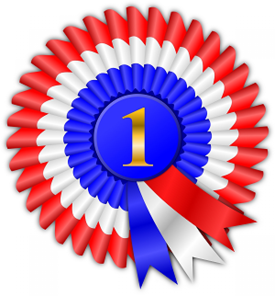 Did You Know That Social Rewards Technology Allows You To Create Self Replicating Online Contests?
