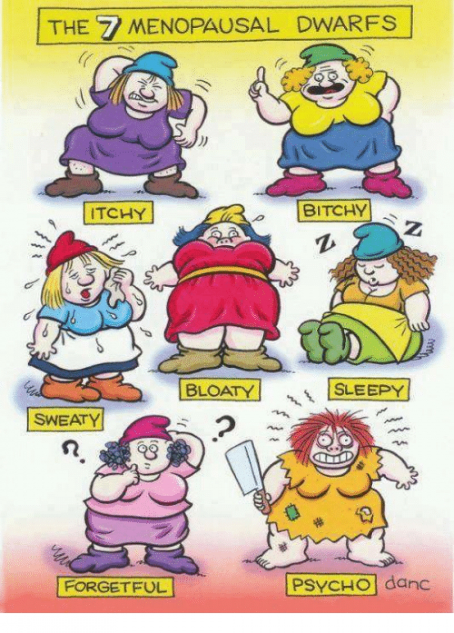 7 Natural Remedies To Rid You Of Your 7 Menopausal Dwarfs