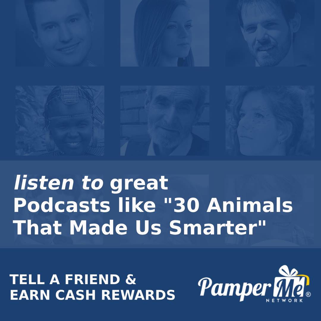 How Were Designers Of The Bullet Train Inspired By Animals Like The Kingfisher #podcast #bbcpodcasts @matrixthinker @patrickaryee