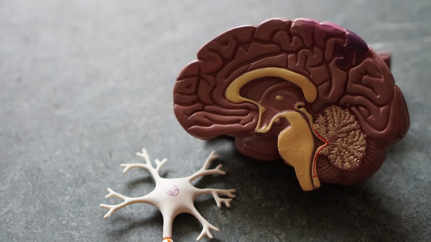 @jimkwik Will Help You Unlock Your Brain's Superpowers #influencer #authors @matrixthinker @socialroyalties @kwiklearning #books