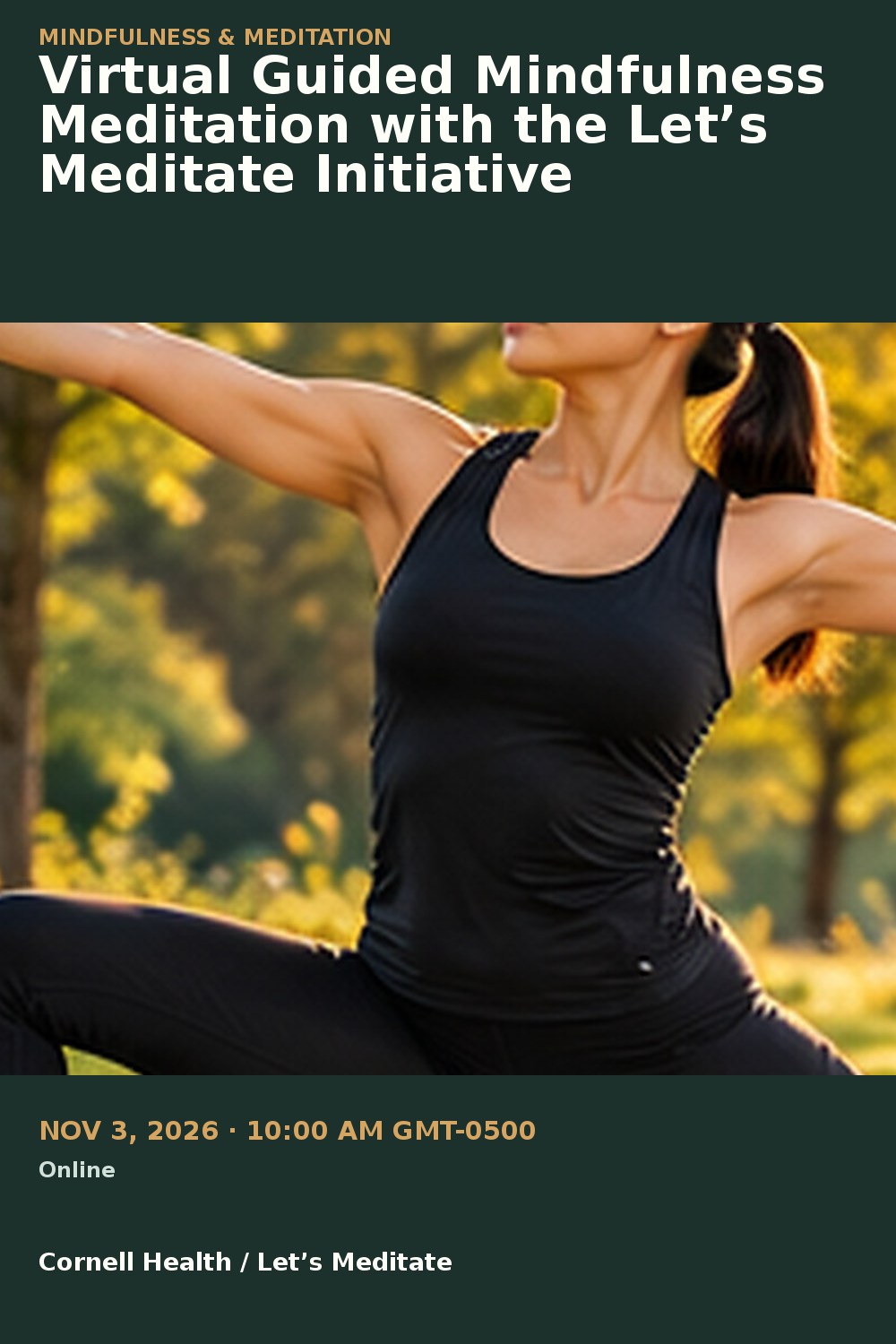 Virtual Guided Mindfulness Meditation with the Let’s Meditate Initiative